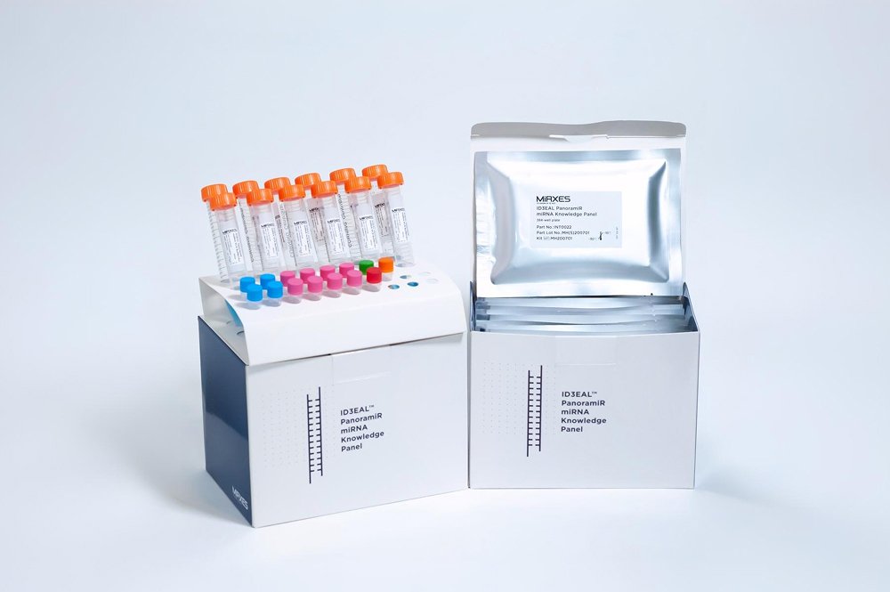 Mirxes-Timeline-2015-Images