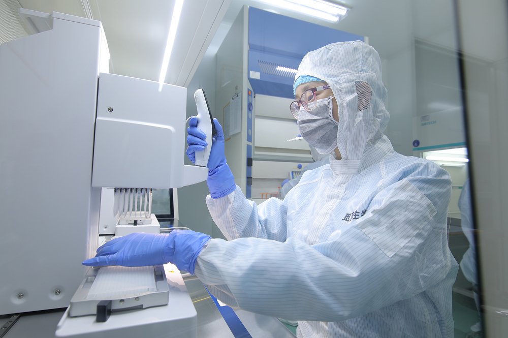 Mirxes-Timeline-2016-Images