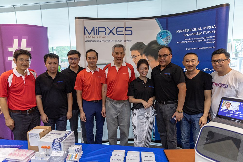 Mirxes-Timeline-2019-Images