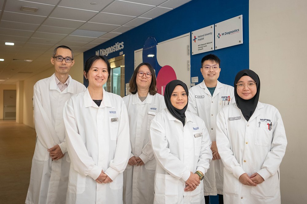 Mirxes-Timeline-2024-Images